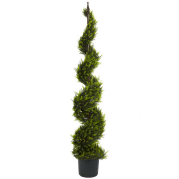 5 ft Cypress Spiral Tree