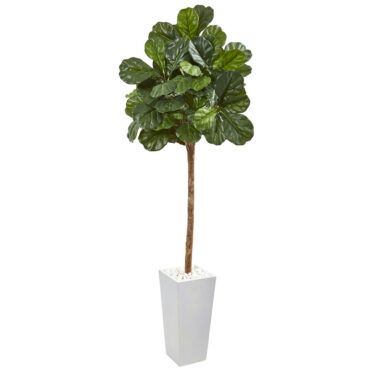 6.24 ft (75”) Fiddle Leaf Fig Artificial Tree In White Planter