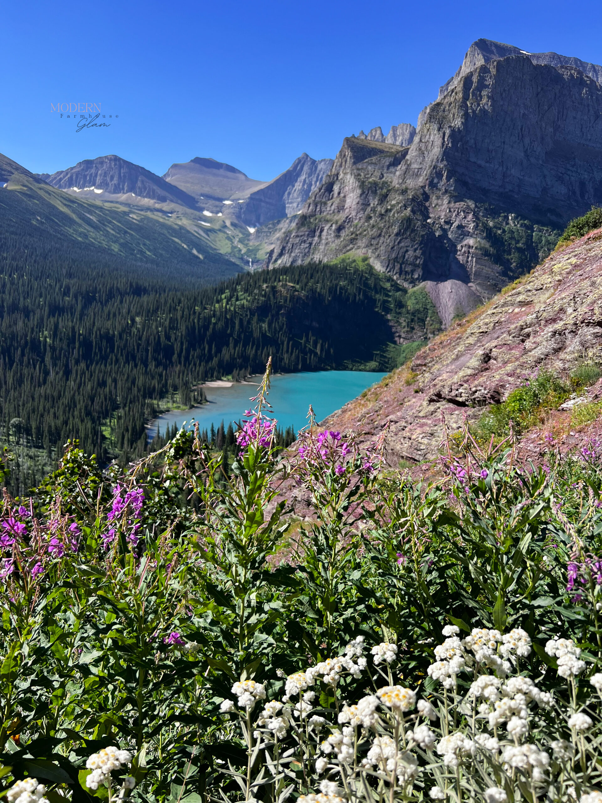 Wildflowers on the trail overlooking Grinell Lake