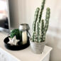 Here is the adorable Cactus Plant in the Cement Pot displayed on my media console table.