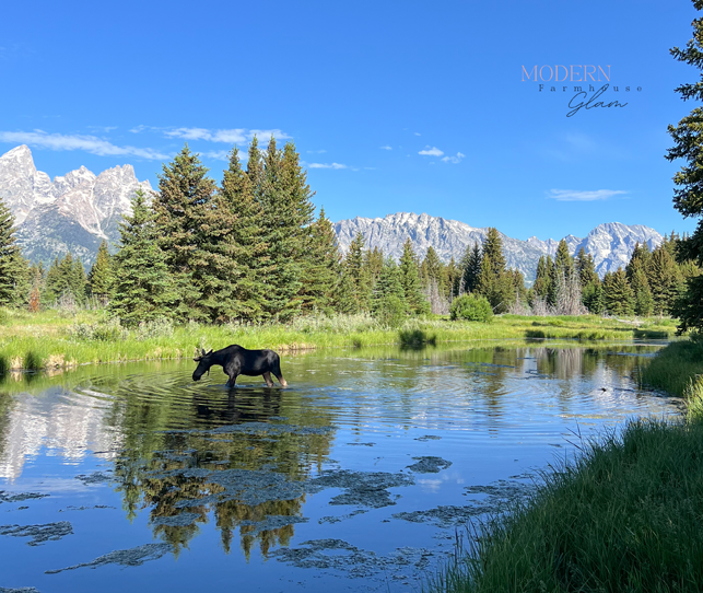 Grand Teton National Park, WY + Utah Trip-Best Sights, Hikes & Tips for Your Vacation