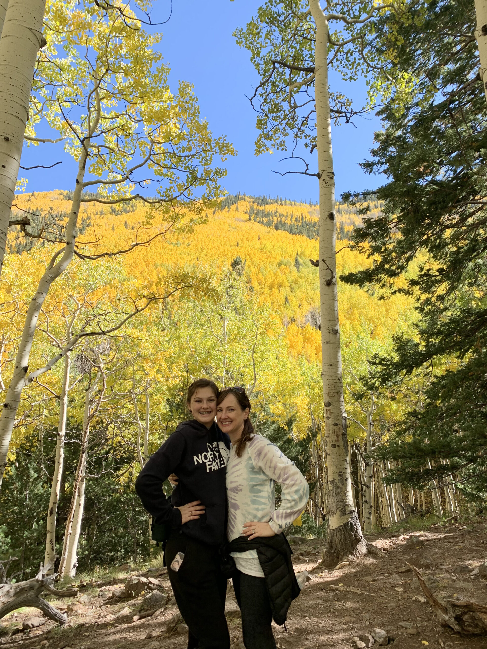 Yellow Leaves on Aspen Trees Hike in Arizona 